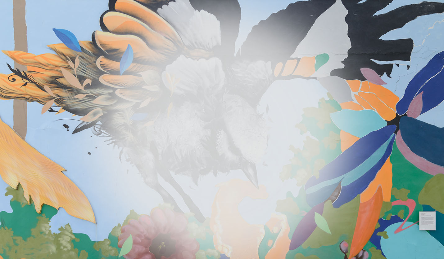 Macular Degeneration